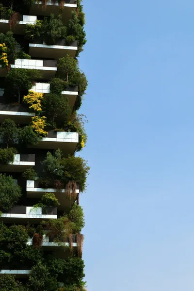 Sustainable Materials: Redefining Modern Interior DesignIllustration